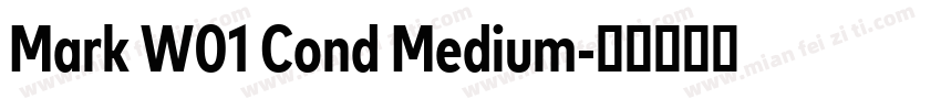 Mark W01 Cond Medium字体转换